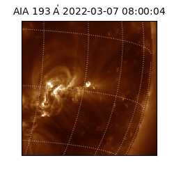 saia - 2022-03-07T08:00:04.843000