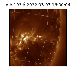 saia - 2022-03-07T16:00:04.843000