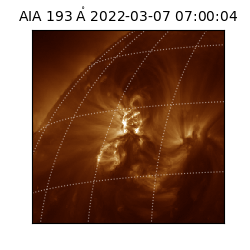saia - 2022-03-07T07:00:04.843000