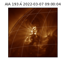 saia - 2022-03-07T09:00:04.843000