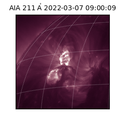saia - 2022-03-07T09:00:09.623000