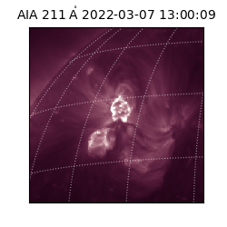 saia - 2022-03-07T13:00:09.618000