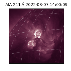 saia - 2022-03-07T14:00:09.626000