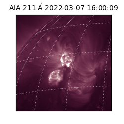 saia - 2022-03-07T16:00:09.626000