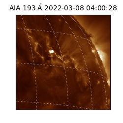 saia - 2022-03-08T04:00:28.843000