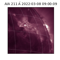 saia - 2022-03-08T09:00:09.626000