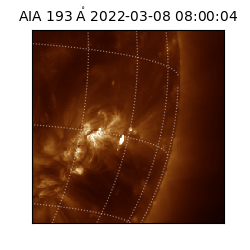 saia - 2022-03-08T08:00:04.843000