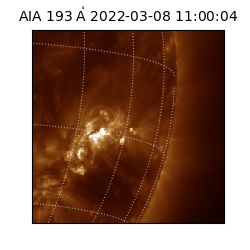 saia - 2022-03-08T11:00:04.847000
