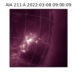 saia - 2022-03-08T09:00:09.626000