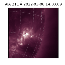 saia - 2022-03-08T14:00:09.622000