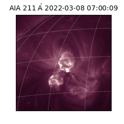 saia - 2022-03-08T07:00:09.626000