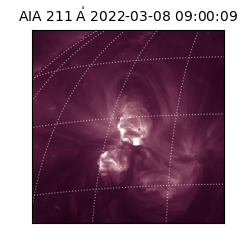 saia - 2022-03-08T09:00:09.626000