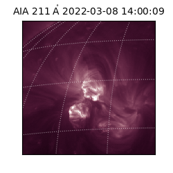 saia - 2022-03-08T14:00:09.622000