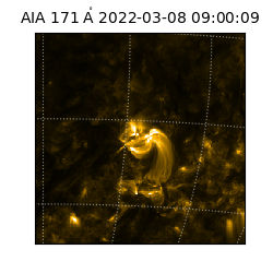 saia - 2022-03-08T09:00:09.350000