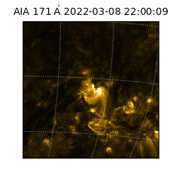 saia - 2022-03-08T22:00:09.342000