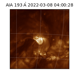 saia - 2022-03-08T04:00:28.843000