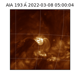 saia - 2022-03-08T05:00:04.843000
