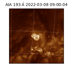 saia - 2022-03-08T09:00:04.843000