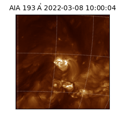 saia - 2022-03-08T10:00:04.846000