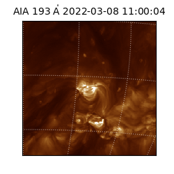 saia - 2022-03-08T11:00:04.847000