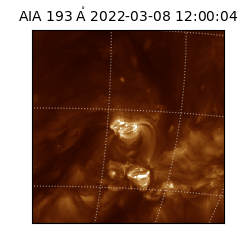 saia - 2022-03-08T12:00:04.844000