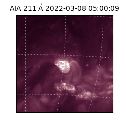 saia - 2022-03-08T05:00:09.626000