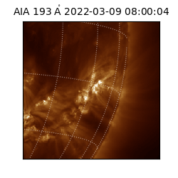 saia - 2022-03-09T08:00:04.843000