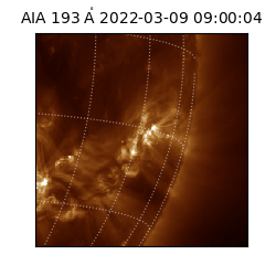 saia - 2022-03-09T09:00:04.843000