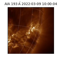 saia - 2022-03-09T10:00:04.846000