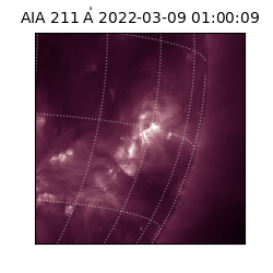 saia - 2022-03-09T01:00:09.626000