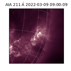 saia - 2022-03-09T09:00:09.633000
