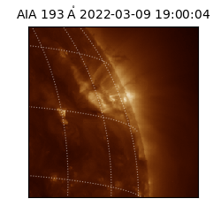 saia - 2022-03-09T19:00:04.843000