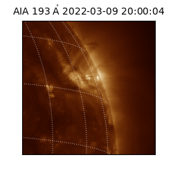 saia - 2022-03-09T20:00:04.843000