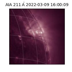 saia - 2022-03-09T16:00:09.623000