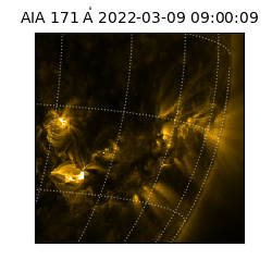 saia - 2022-03-09T09:00:09.350000
