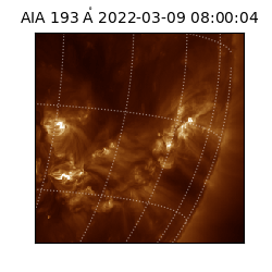 saia - 2022-03-09T08:00:04.843000