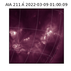 saia - 2022-03-09T01:00:09.626000