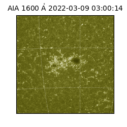 saia - 2022-03-09T03:00:14.129000