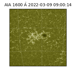 saia - 2022-03-09T09:00:14.125000