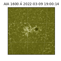 saia - 2022-03-09T19:00:14.126000