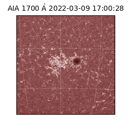 saia - 2022-03-09T17:00:28.746000