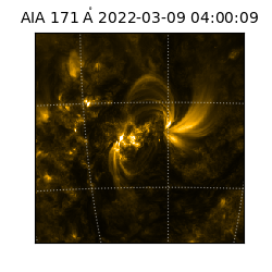 saia - 2022-03-09T04:00:09.350000