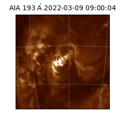 saia - 2022-03-09T09:00:04.843000