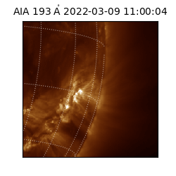 saia - 2022-03-09T11:00:04.846000