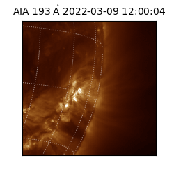 saia - 2022-03-09T12:00:04.846000
