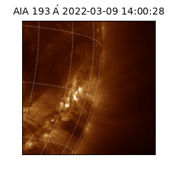 saia - 2022-03-09T14:00:28.843000