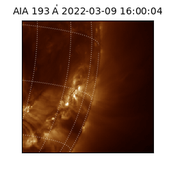 saia - 2022-03-09T16:00:04.847000