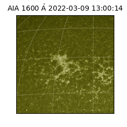 saia - 2022-03-09T13:00:14.126000