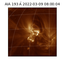 saia - 2022-03-09T08:00:04.843000