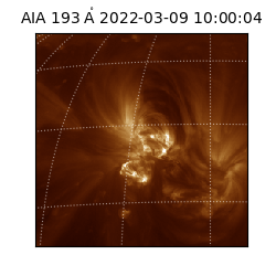 saia - 2022-03-09T10:00:04.846000